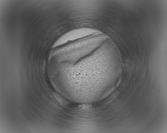 X0000054410660200508121726