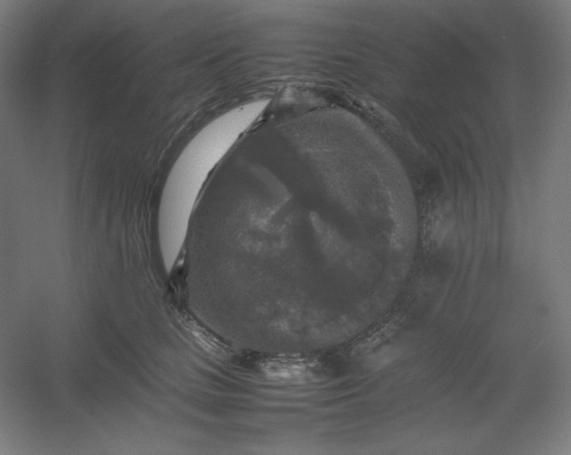 X0000054410661200508121726