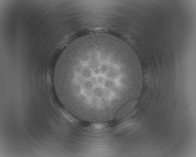 X0000054410662200508121726