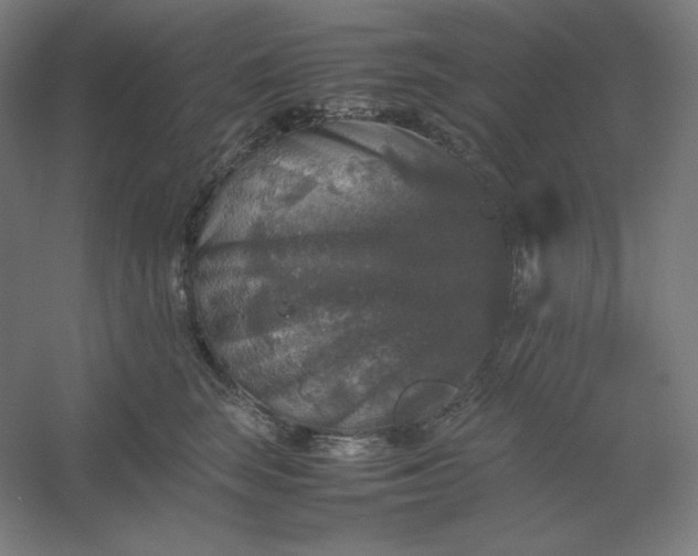 X0000054410663200508121726