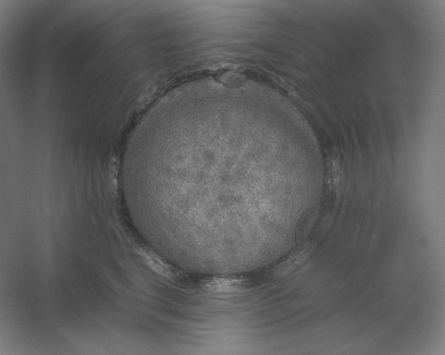 X0000054410664200508121726