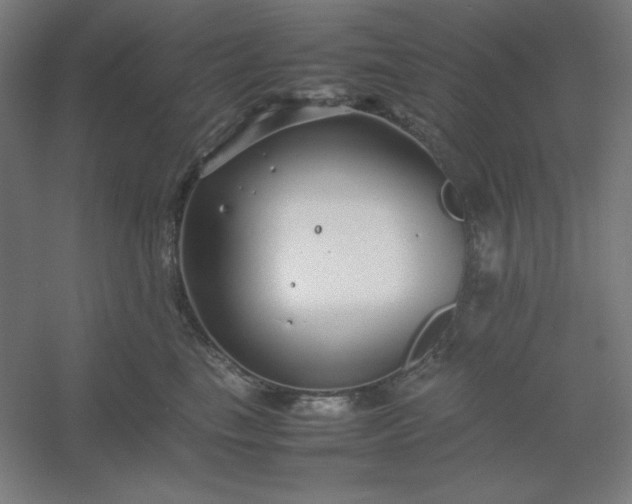 X0000054410665200508121726