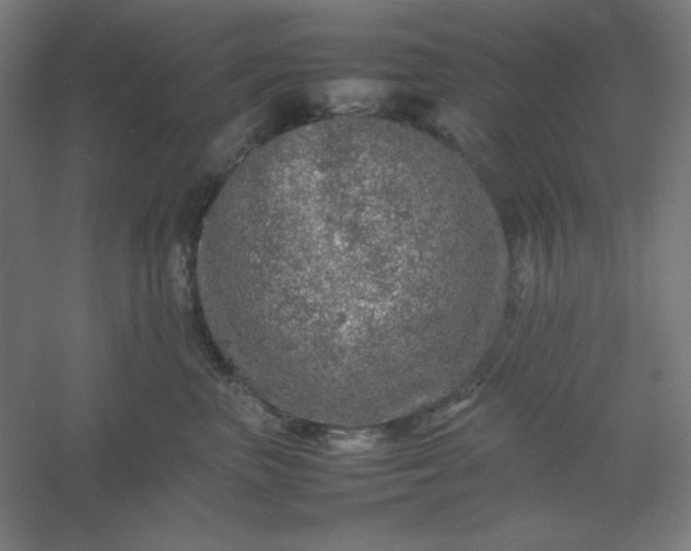 X0000054410667200508121727