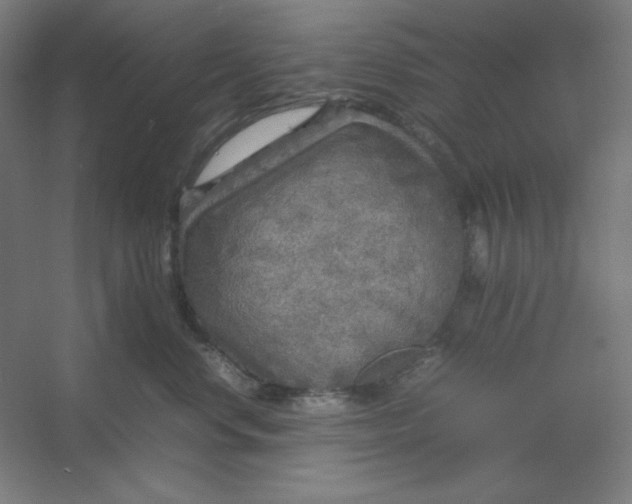 X0000054410668200508121727