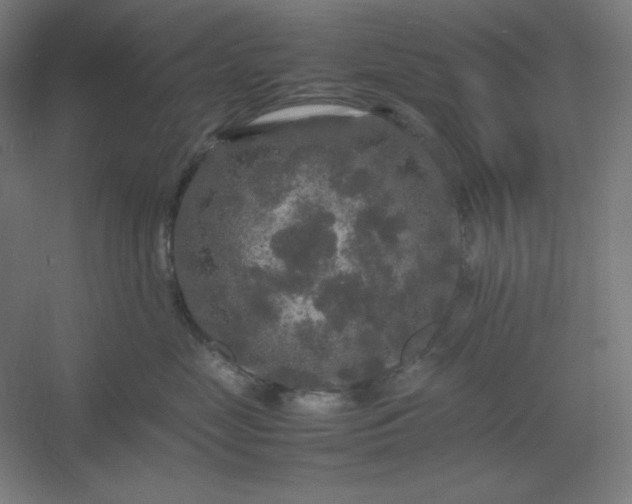 X0000054410669200508121727