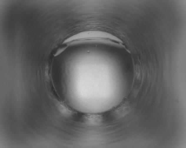 X0000054410670200508121727