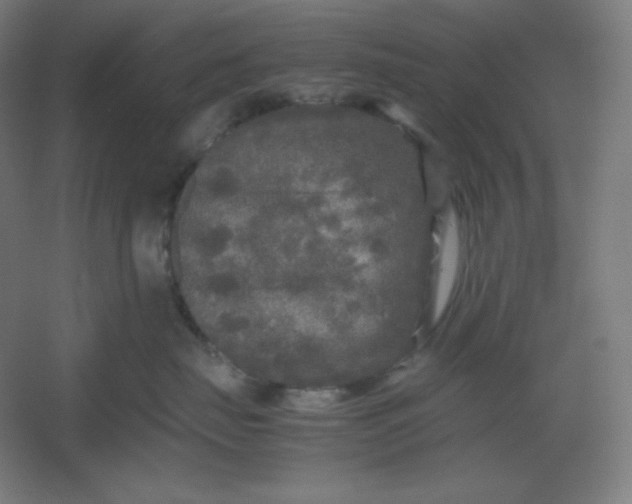 X0000054410671200508121727