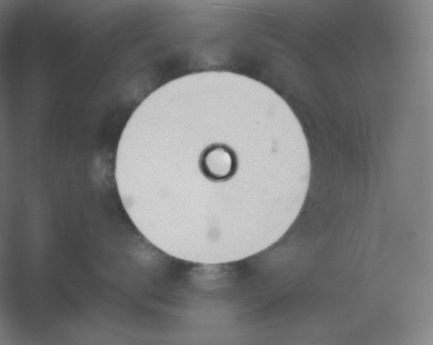 X0000054410672200508121727