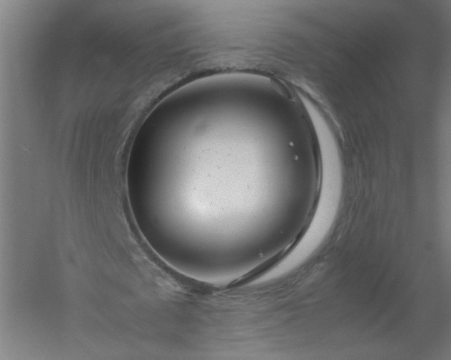 X0000054410673200508121726