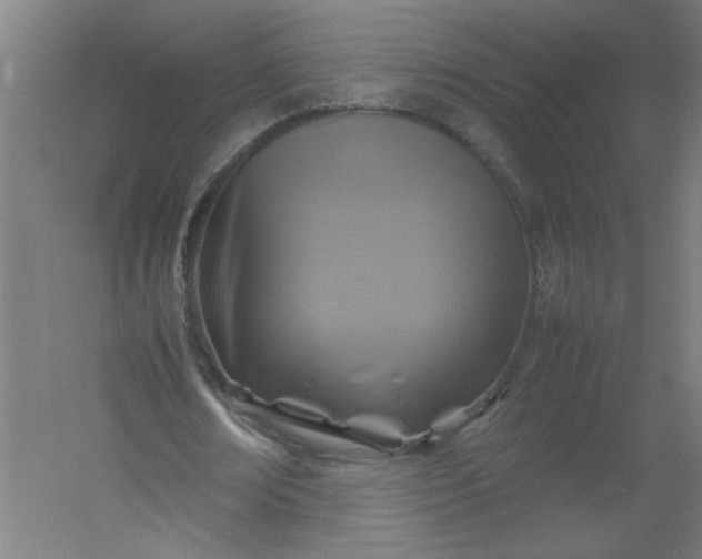 X0000054410674200508121726