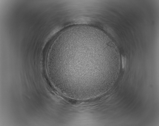 X0000054410675200508121726