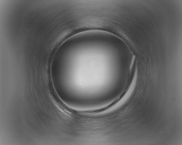 X0000054410677200508121726