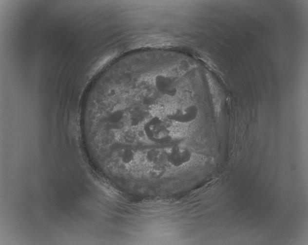 X0000054410679200508121726