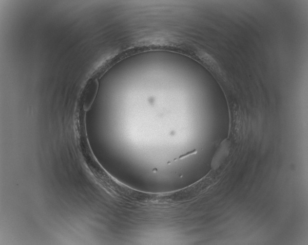 X0000054410680200508121726