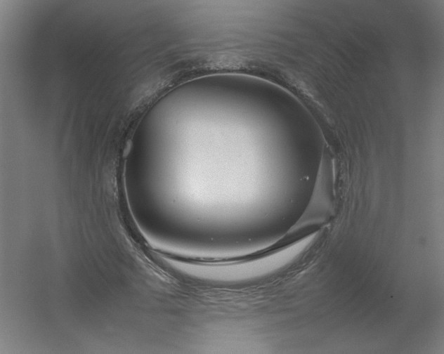 X0000054410681200508121726