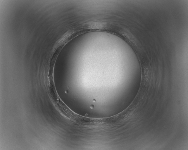 X0000054410682200508121726