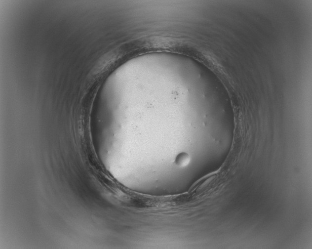 X0000054410683200508121726