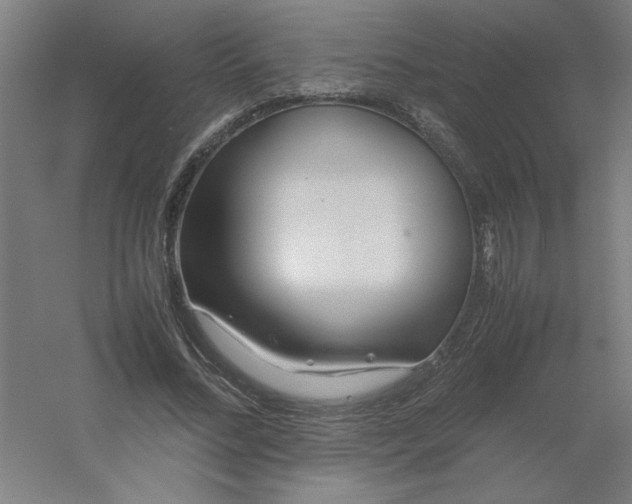 X0000054410684200508121726