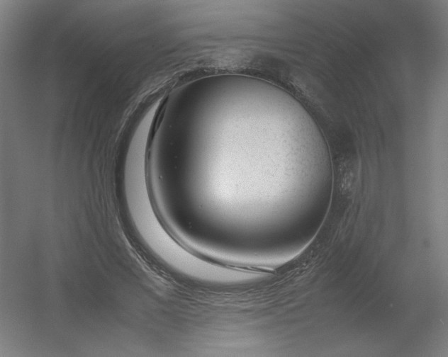 X0000054410685200508121726