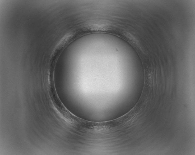 X0000054410686200508121726