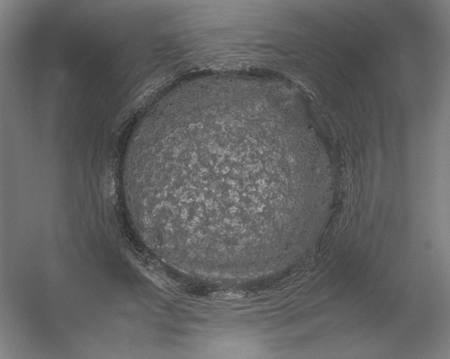 X0000054410687200508121726