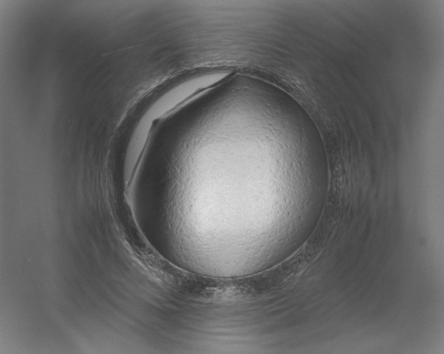 X0000054410688200508121726