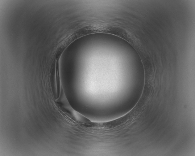 X0000054410689200508121726