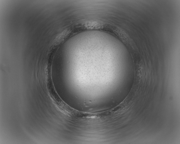 X0000054410690200508121725