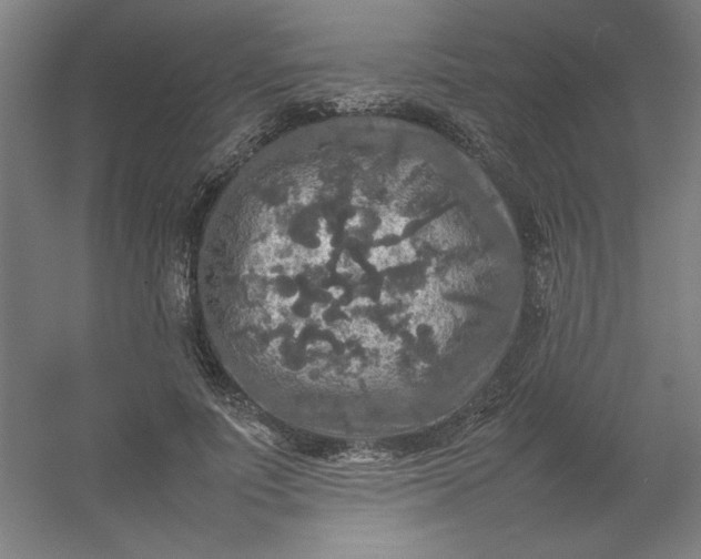 X0000054410691200508121725