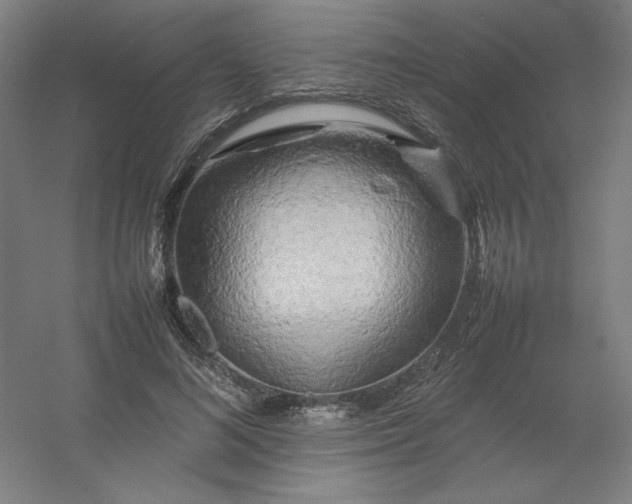 X0000054410692200508121725