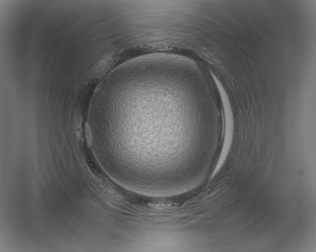 X0000054410693200508121725