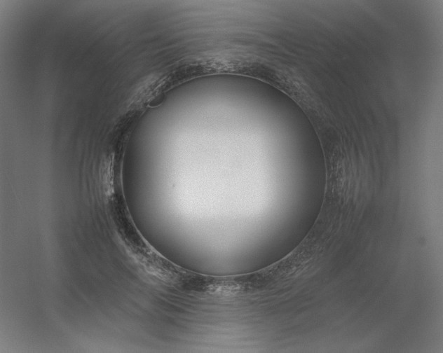 X0000054410694200508121725