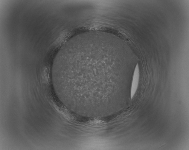 X0000054410695200508121725