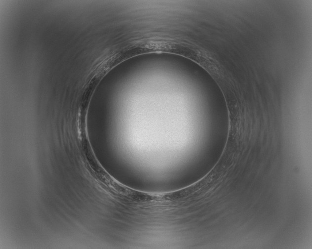 X0000054410696200508121725