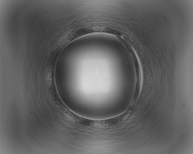 X0000054410697200508121725