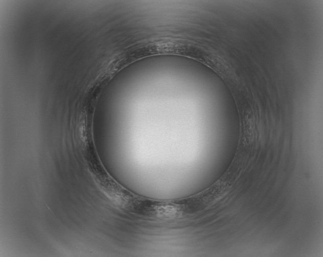 X0000054410698200508121725