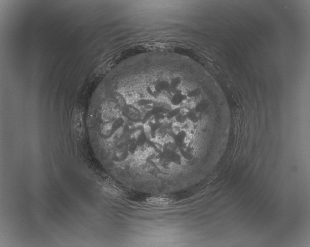 X0000054410699200508121725