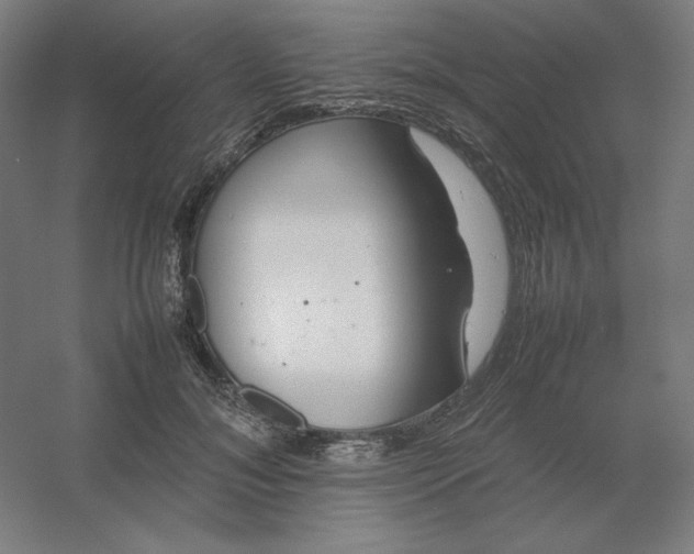 X0000054410700200508121725