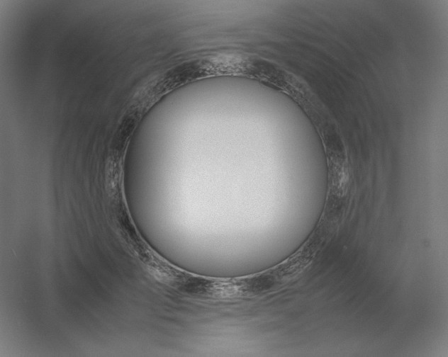 X0000054410701200508121725