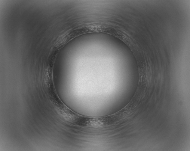 X0000054410702200508121725