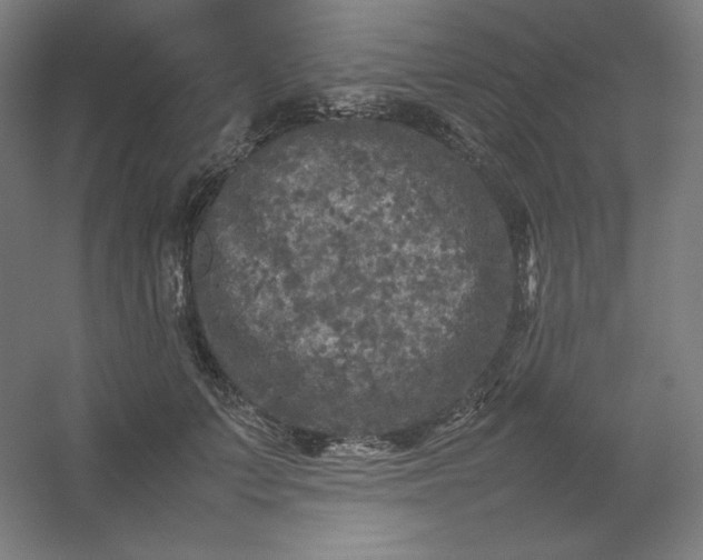 X0000054410703200508121725