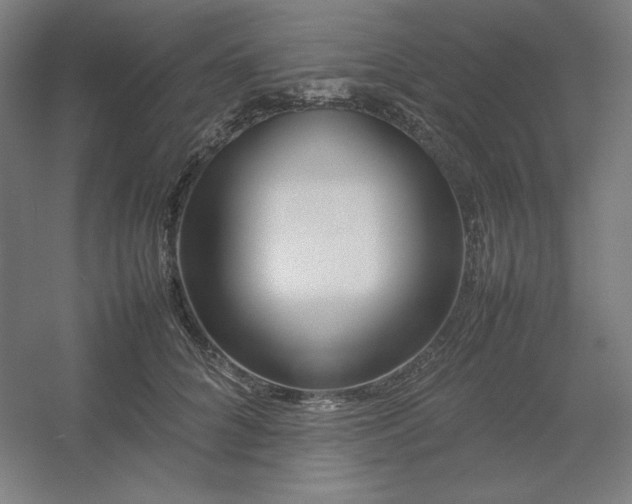 X0000054410704200508121725