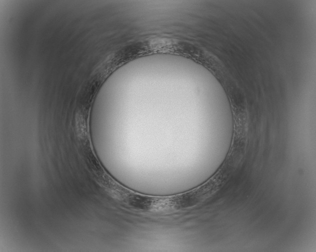 X0000054410705200508121725