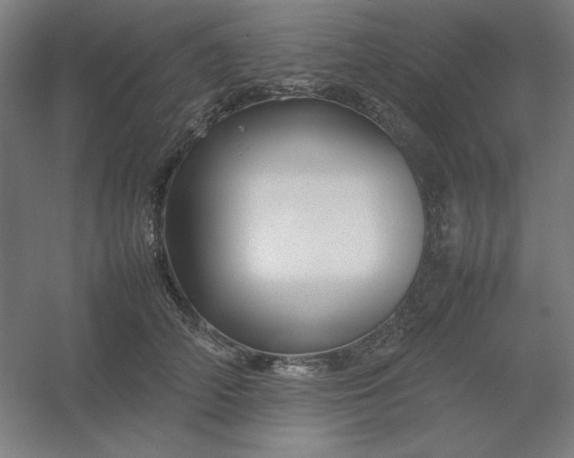 X0000054410706200508121725