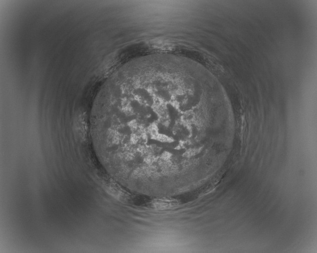 X0000054410707200508121725