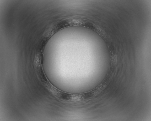 X0000054410709200508121725