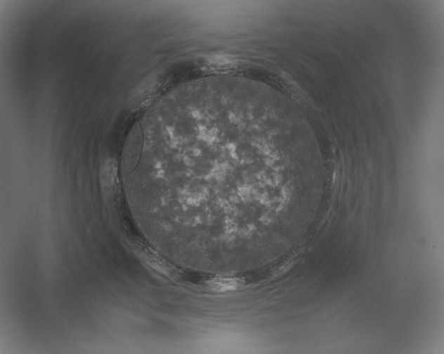 X0000054410711200508121725