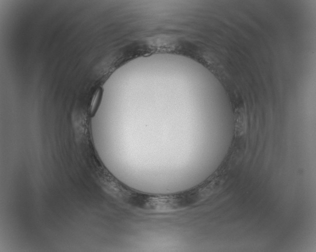 X0000054410713200508121725