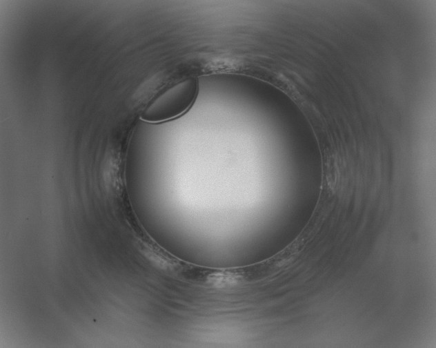 X0000054410714200508121725