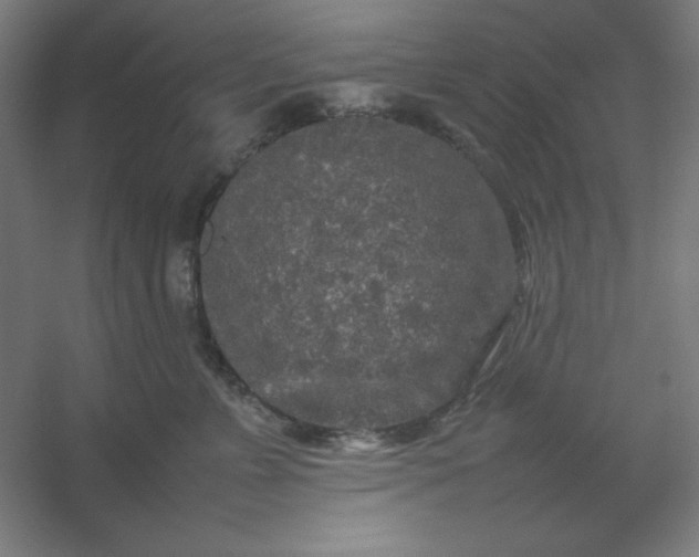 X0000054410715200508121725